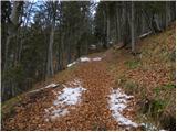 Srednji Vrh - Jureževa planina